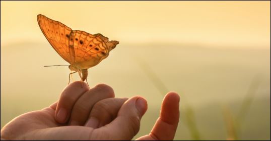 Có người sinh ra trong phú quý, được thừa hưởng nền giáo dục tối cao, nhưng lại chẳng biết quý trọng, cuối cùng là trở nên nghèo khó. (ảnh minh họa)