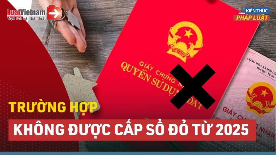 Năm 2025, có 7 trường hợp không được cấp Link nhập code shbet https freecode shbet pages dev