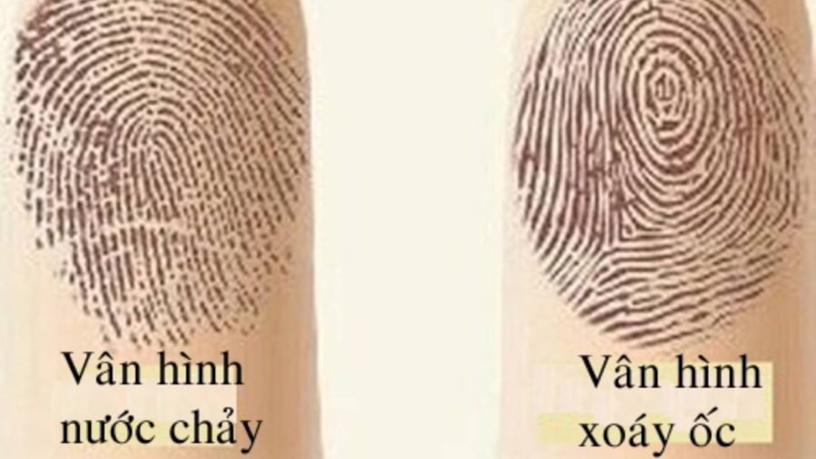 Nhìn vào đường vân trên ngón tay cũng biết phần nào được vận mệnh cuộc đời