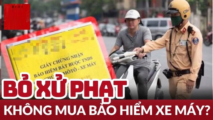Theo quy định hiện hành, việc không mang theo bảo hiểm xe máy khi ra đường có thể bị cơ quan chức năng xử phạt. 