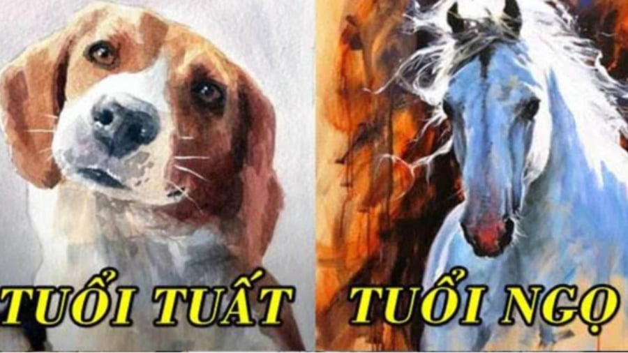 Tháng 6 này, Shbet888.com nhà cái uy tín tuổi Tuất có thể biến mọi ước mơ thành hiện thực