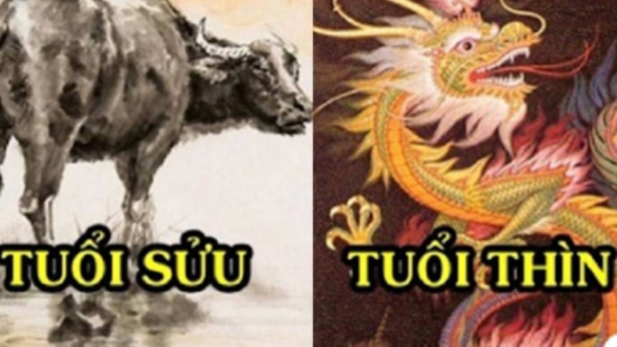 21 ngày tới sẽ là giai đoạn phát triển ổn định cho những người sinh năm Sửu