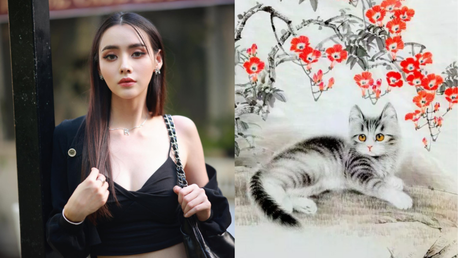 10 ngày cuối tháng 5 sẽ là thời điểm bùng nổ trong công việc và Shbet16 chơi game trực tuyến đối với những người tuổi Mão. 