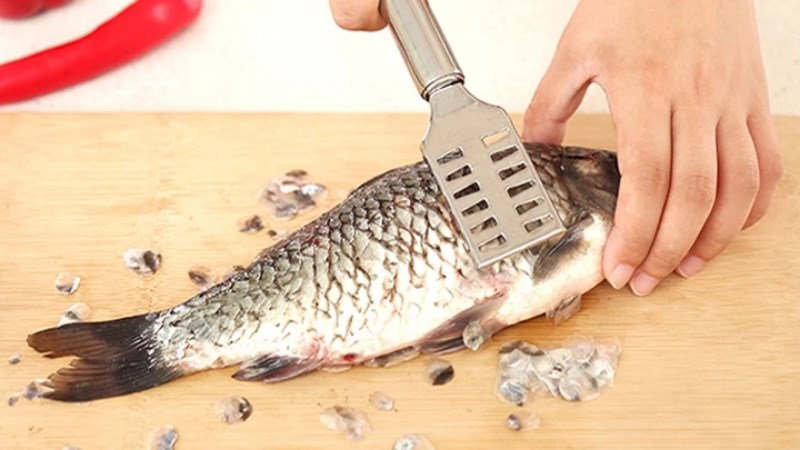 Vảy cá là bộ phận đại bổ
