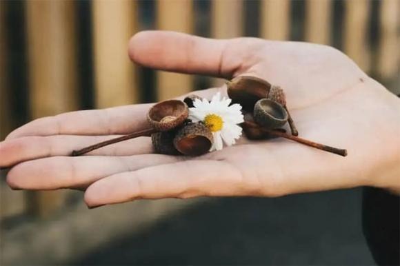 Bàn tay là chứng tích của người lao động chân tay.