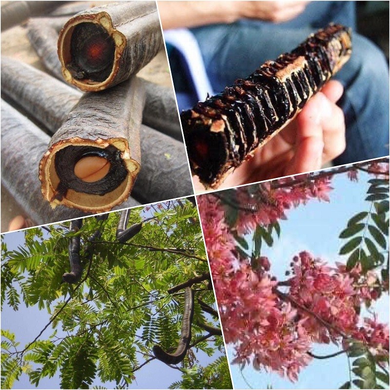 Khi tách lớp vỏ cứng bên ngoài, bạn sẽ khám phá phần thịt quả bên trong có màu đen