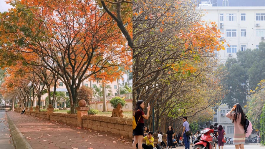 Đại học Sư phạm Hà Nội