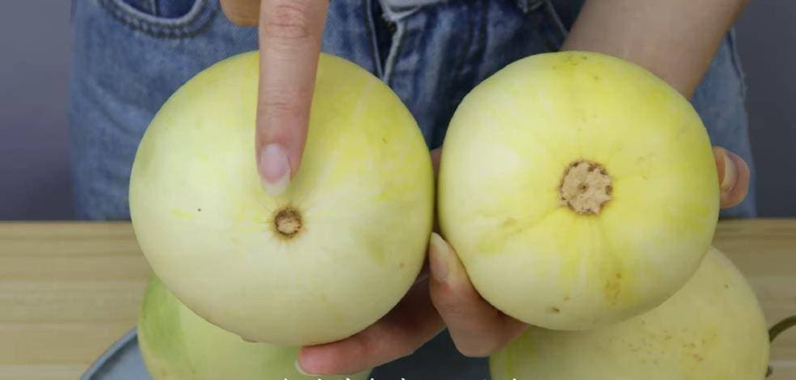 Quan sát rốn của quả dưa    