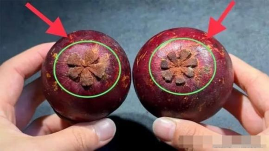 Mẹo giúp bạn chọn măng cụt cùi dày, thơm ngon