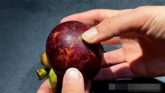 Khi chọn mua quả măng cụt, bạn nên chọn quả tròn vừa, không chọn quả quá to