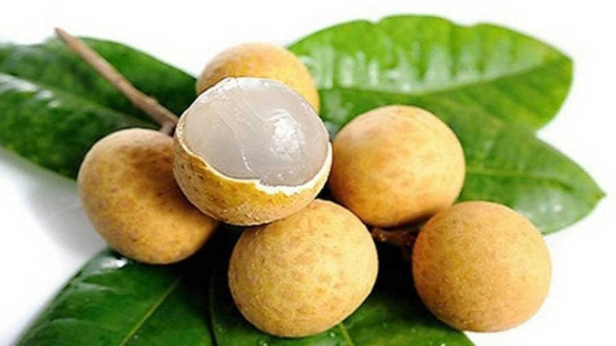 Nhãn là loại quả được rất nhiều người Việt ưa chuộng