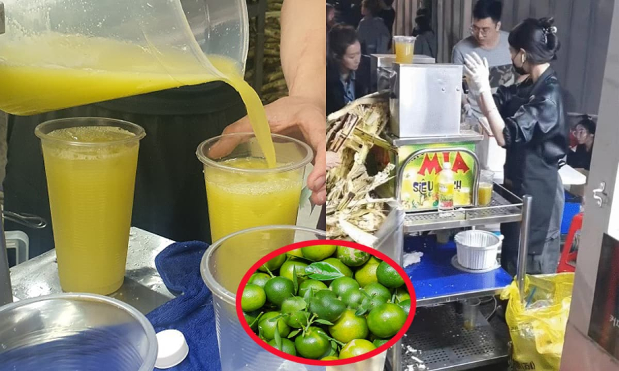 Quất có vị chua có thể giúp làm dịu vị ngọt của mía