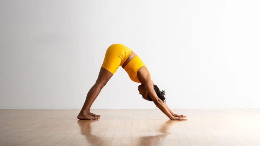 Downward dog là động tác thường thấy trong yoga và được biết với tên gọi “chó úp mặt”.    