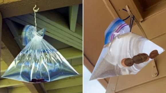 Treo túi nilong trước cửa có tác dụng tốt trong việc đuổi ruồi