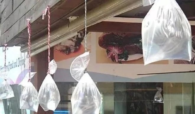 Treo 1 túi nước ở cửa sổ: Việc nhỏ mà tác dụng lớn