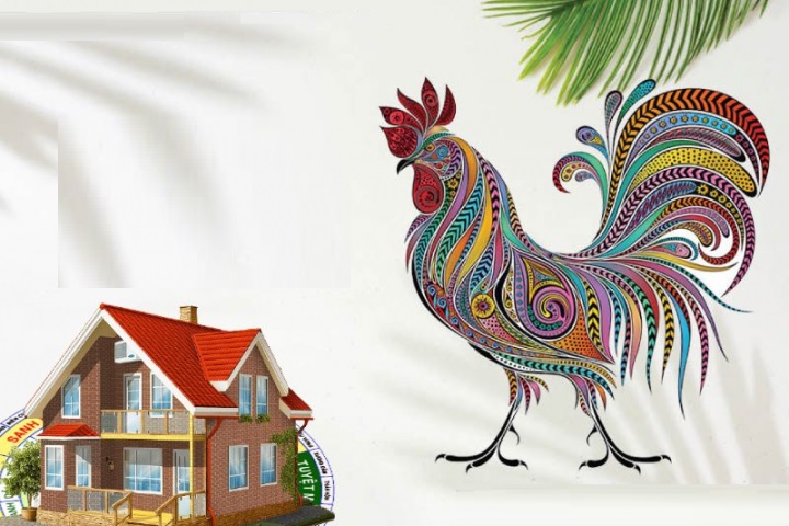Tuổi Dậu dự báo được lộc trong mùa hè này