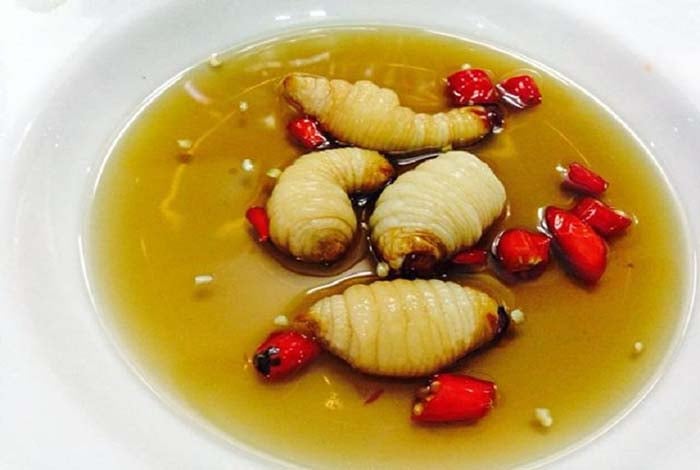 Cách thưởng thức phổ biến nhất là ăn sống chấm nước mắm, một Shbet0099 cá cược trực tuyến dân dã còn được gọi là 