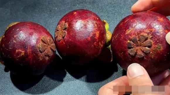 Số cánh của bông hoa dưới đáy quả chính là số múi của quả bên trong