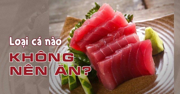 Loại cá này ngậm nhiều thủy ngân gây hại Sh88bet đăng ký miễn phí