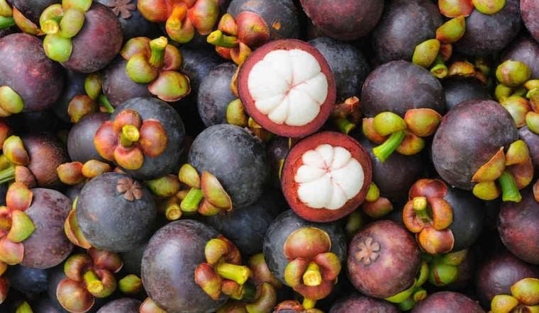 Măng cụt là loại trái cây rất giàu dinh dưỡng và ngon miệng