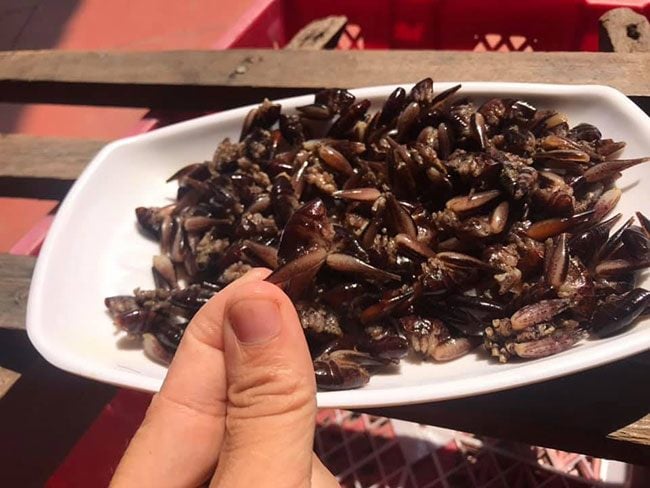 Giá tôm rừng hiện nay khá cao, đem lại nguồn thu nhập đáng kể cho người dân địa phương