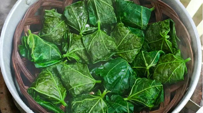 Món ngon từ lá mướp rất hấp dẫn.