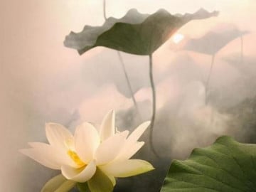 Nếu như có người lấy đồ của bạn. Điều này cho thấy họ có tính ăn trộm, cứ thế sớm muộn cũng sinh chuyện. (ảnh minh họa)