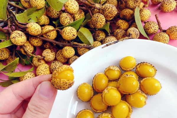 Trên chợ mạng và chợ chung cư, nhãn rừng được bán với giá khoảng 45.000 đồng/kg