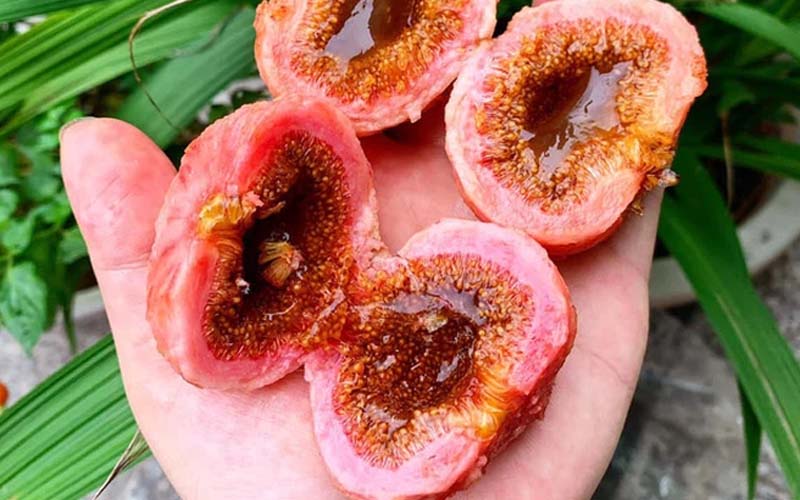 Tại Huế, từ nhà hàng sang trọng đến quán ăn vỉa hè đều không thể thiếu các món ngon chế biến từ trái vả trong thực đơn
