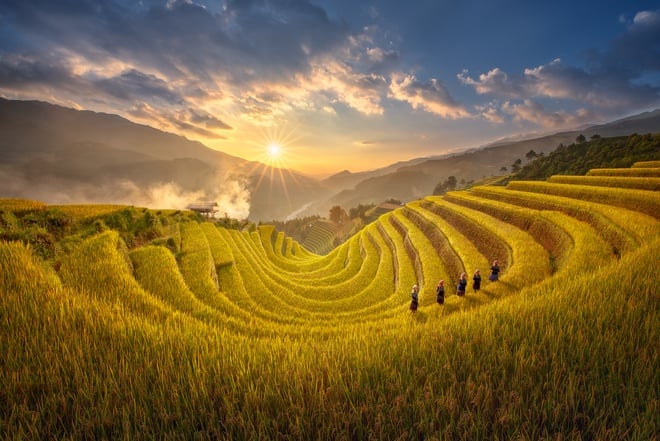 Hãy ghé thăm bản Lìm Mông của dân tộc Mông, nơi có những cánh đồng lúa đẹp nhất Mù Cang Chải
