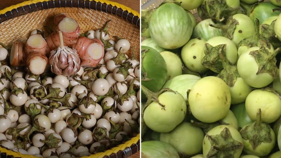 Hai loại cà pháo phổ biến nhất là cà trắng và cà xanh. Với món cà muối, bạn có thể chọn loại nào cũng được, tùy sở thích.
