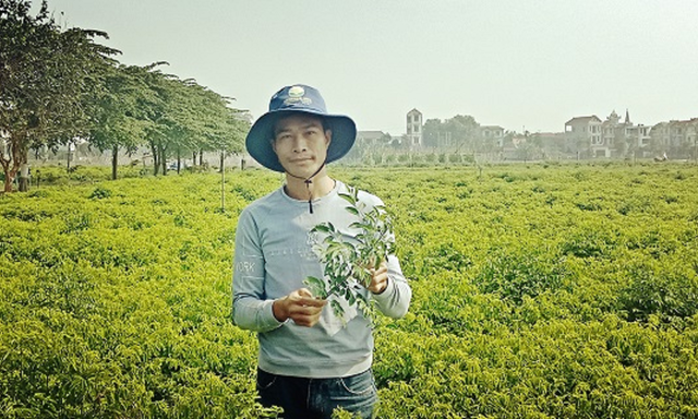 Nông dân Ngô Đức Mạnh giới thiệu về trang trại rau ngót tiền tỷ của mình.