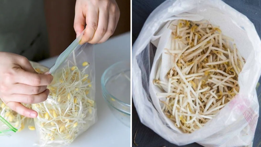 Bạn có thể bảo quản giá đỗ trong túi nilon, túi zip nhưng phải đảm bảo túi có thể thoát hơi nước giúp giá không bị úng.