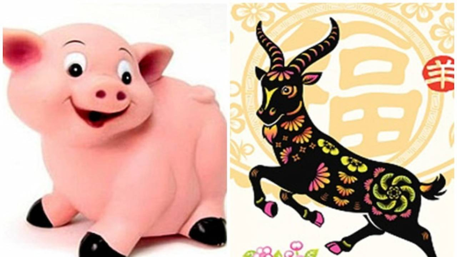Cuối tuần này (1-2/6), những người tuổi Hợi, Mùi... sẽ gặp nhiều may mắn