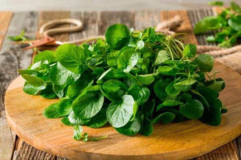 Cải xoong còn chứa vitamin A, một chất dinh dưỡng quan trọng khác cho hệ miễn dịch
