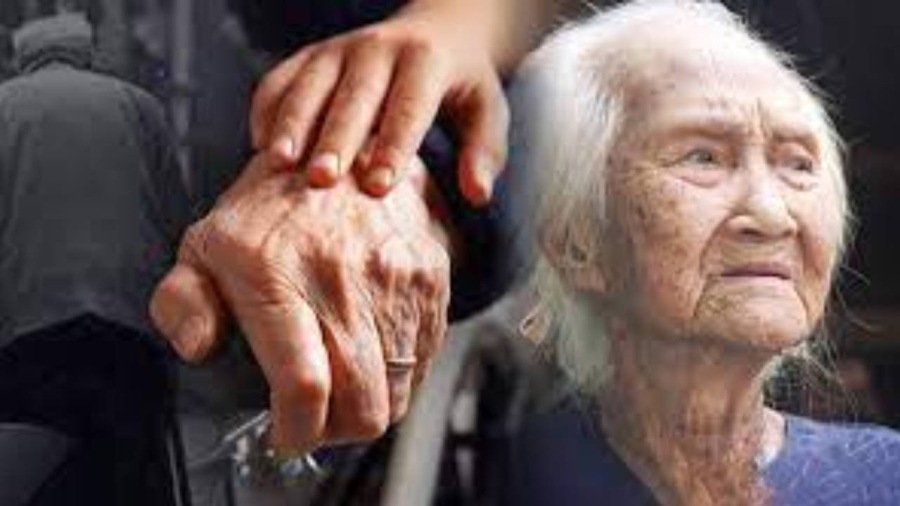 Nhiều người sinh con không chỉ để dưỡng già mà còn để tìm thấy niềm vui và ý nghĩa trong Shbet16 chơi game trực tuyến