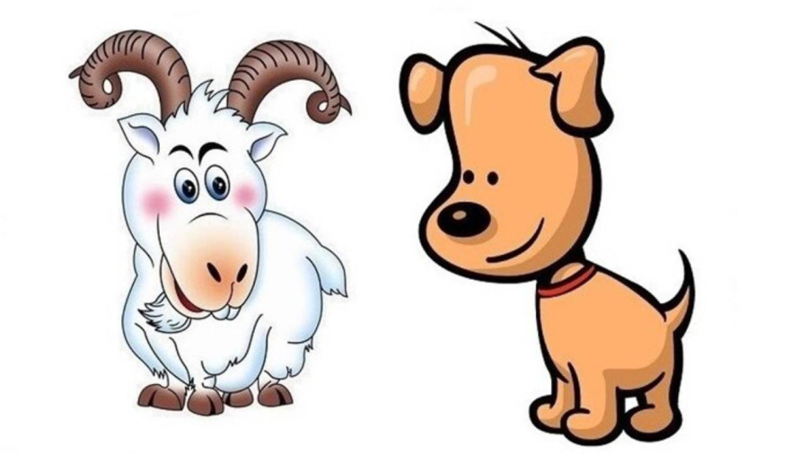 Trong vòng 10 ngày tới, tuổi Mùi, tuổi Tuất... sẽ đón may mắn và giàu sang