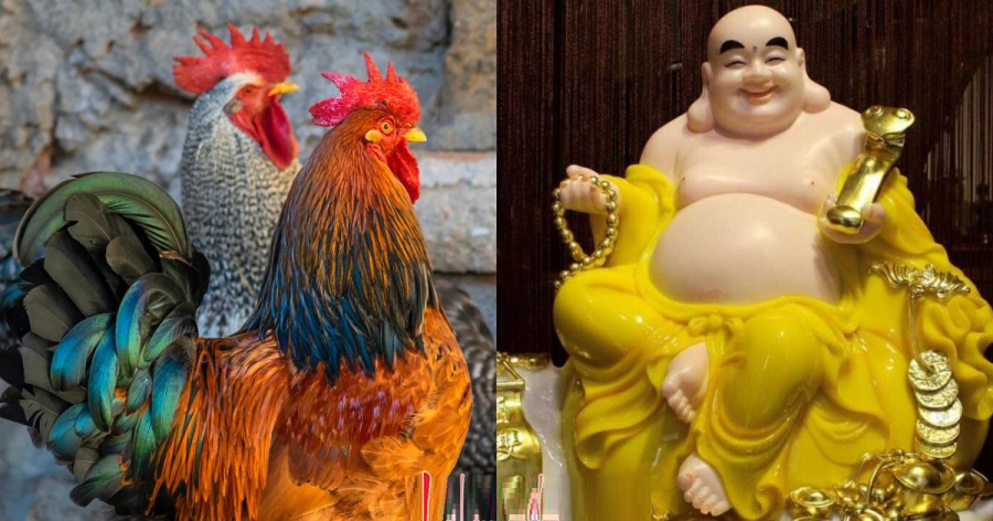 Tuổi Dậu gặp nhiều cơ may phát tài