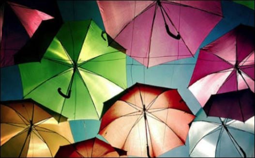Hãy giống như củi, nhiệt tình thiêu cháy bản thân mình. (ảnh minh họa)