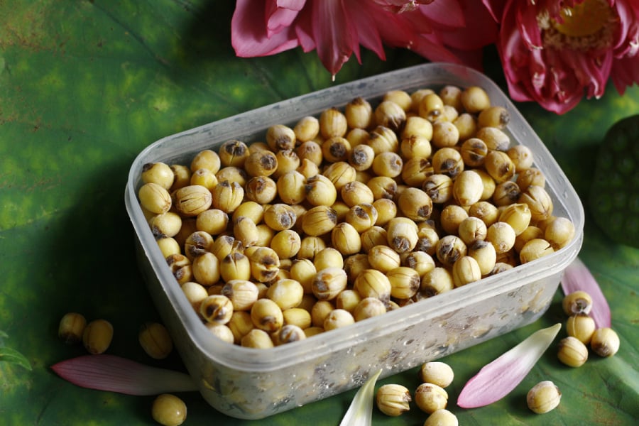 Phơi nắng, trữ khô    