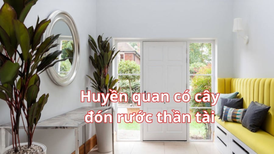 Huyền quan trồng cây xanh thu hút tài lộc