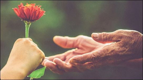 Thế nên hãy hiếu thuận với cha mẹ, đừng chờ đợi, kẻo cha mẹ mất đi mới ân hận. (ảnh minh họa)