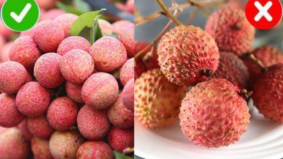 Vải thiều là loại ngon nhất với cùi dày, hạt nhỏ và vị ngọt
