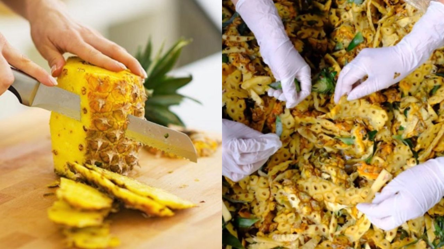 Vỏ dứa có thể biến thành phân bón cho cây trồng.