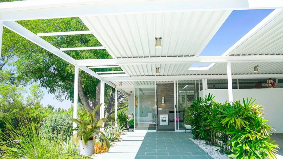 Lối vào nhà cẩn thận nếu có cây chết, cây héo