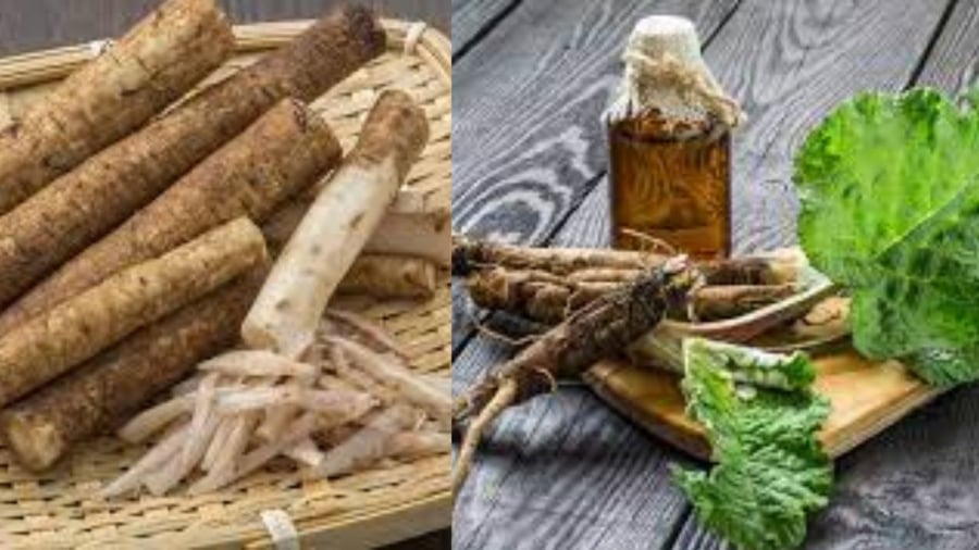 Ngưu bàng có vị ngọt thường được dùng là gia vị chay