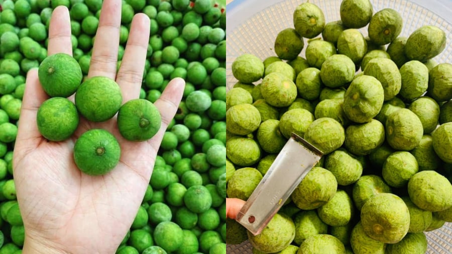 Khi làm sấu ngâm đường, nên chọn loại sấu bánh tẻ, không quá già không quá non và phải cạo sạch vỏ sấu trước khi ngâm.