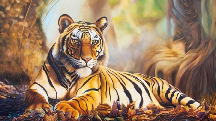 Tháng 6=n, tuổi Dần sẽ gặp may mắn