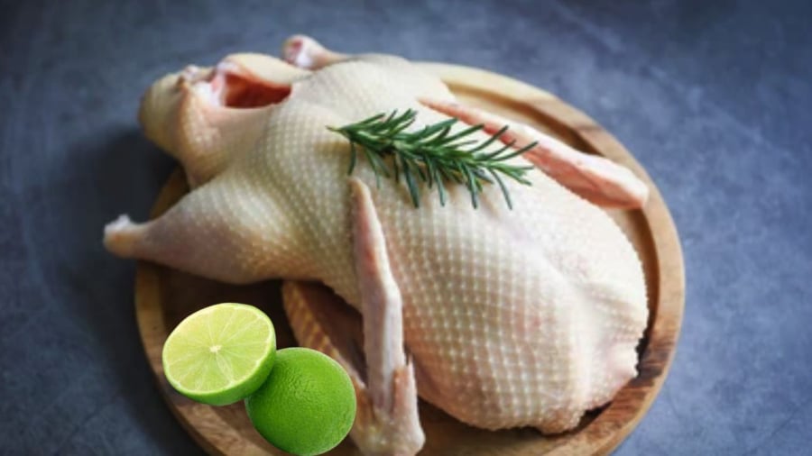Chọn vịt non phỉa chú ý thịt dày không béo không gầy