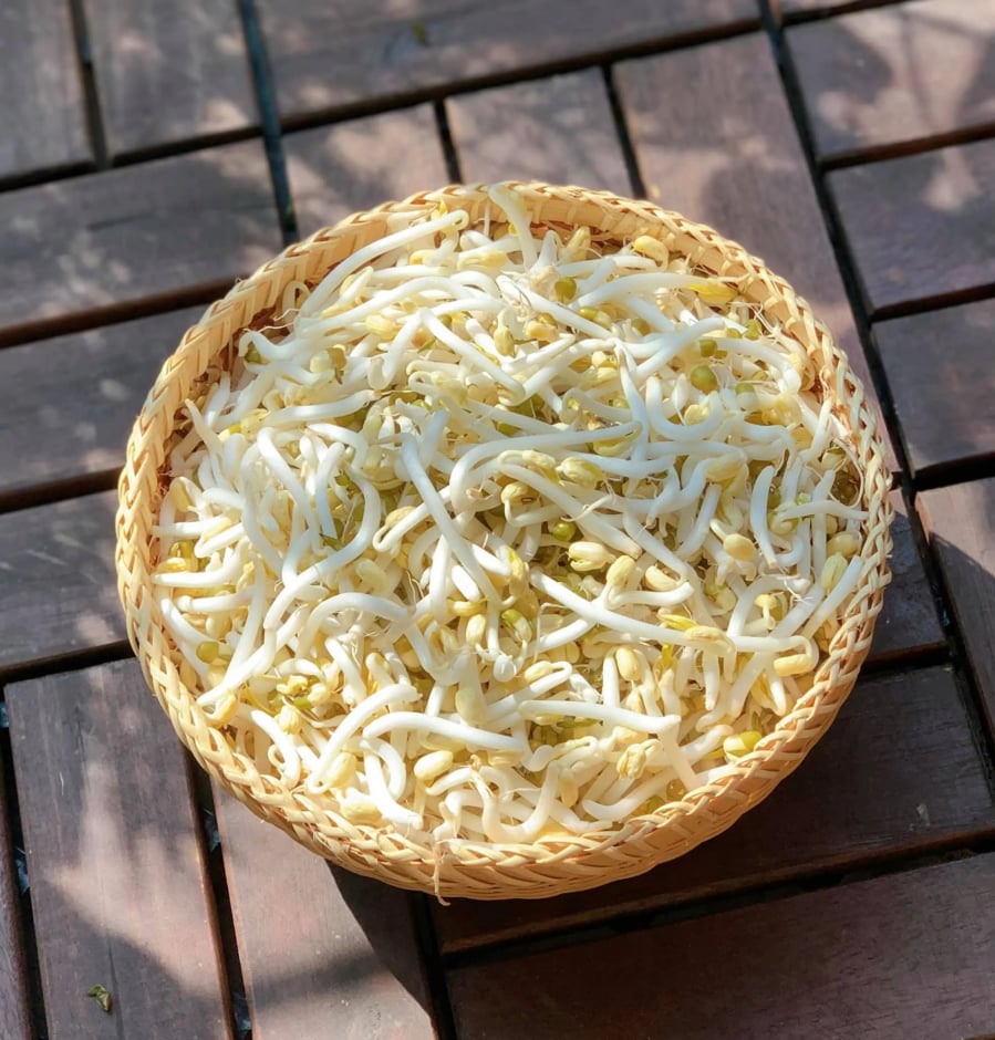 Bạn nên chọn mua giá đỗ ở những cửa hàng lớn, có uy tín.